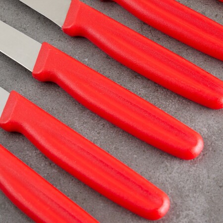 Aryıldız 6 Parça Meyve Bıçağı Kırmızı 8 cm - 5