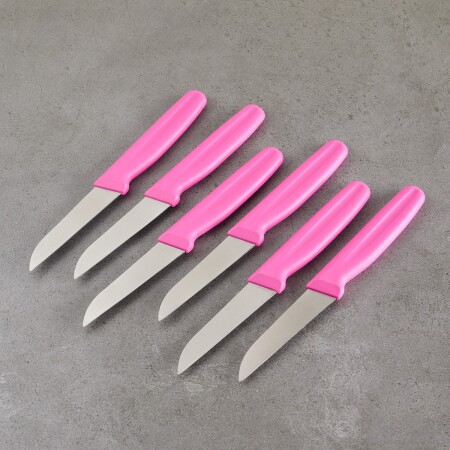 Aryıldız 6 Parça Meyve Bıçağı Lila 8 cm - 3