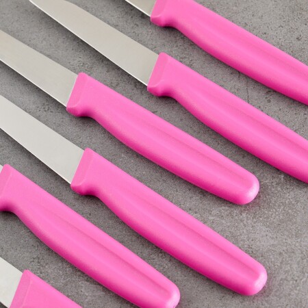 Aryıldız 6 Parça Meyve Bıçağı Lila 8 cm - 5