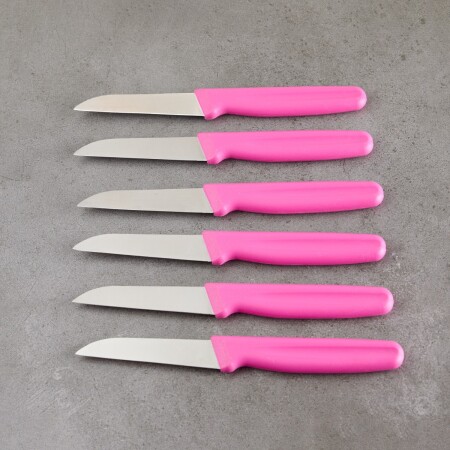 Aryıldız 6 Parça Meyve Bıçağı Lila 8 cm - 4