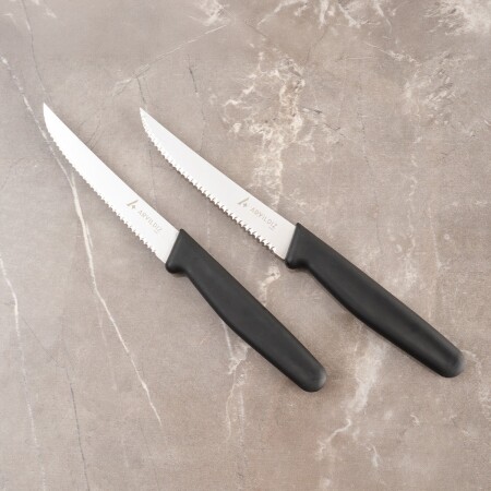 Aryıldız Daily Steak Bıçak 2’li Siyah - 4