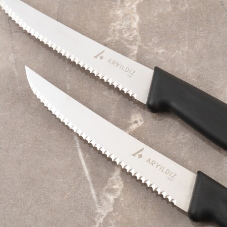 Aryıldız Daily Steak Bıçak 2’li Siyah - 5