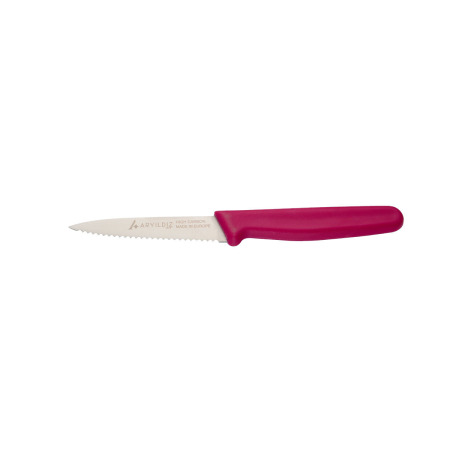 Aryıldız Daily Tırtıklı Meyve Bıçağı Pembe 9 cm - 4