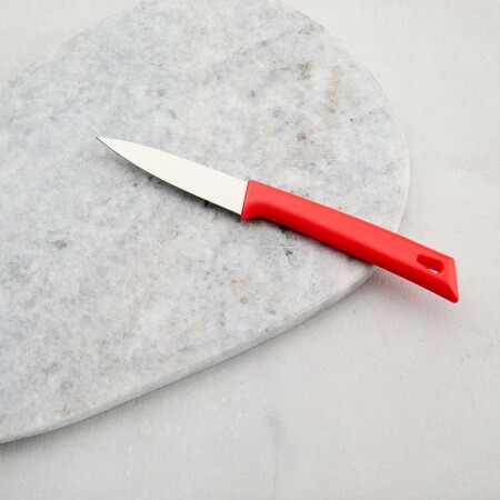 Aryıldız Düz Ağız Meyve Bıçağı Kırmızı 17 cm - 2