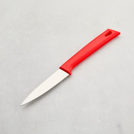 Aryıldız Düz Ağız Meyve Bıçağı Kırmızı 17 cm - 6