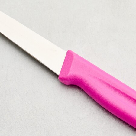 Aryıldız Düz Ağız Meyve Bıçağı Lila 17 cm - 3