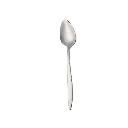 Aryıldız Elegant Krom 6'lı Çay Kaşığı - 5