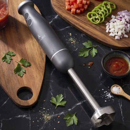 Aryıldız Functional Stick Blender Antrasit - 2