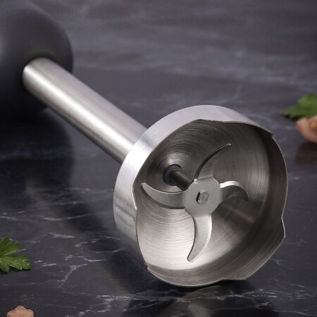 Aryıldız Functional Stick Blender Antrasit - 4