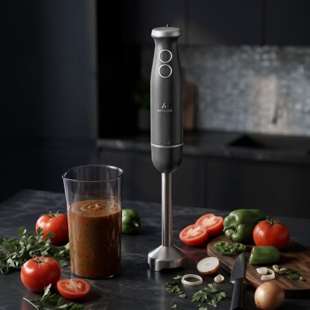 Aryıldız Functional Stick Blender Antrasit - ARYILDIZ