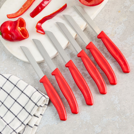 Aryıldız Mira 6 Parça Dişli Meyve Bıçak Seti Kırmızı - 2