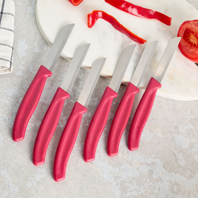 Aryıldız Mira 6 Parça Meyve Bıçak Seti Bordo - 1