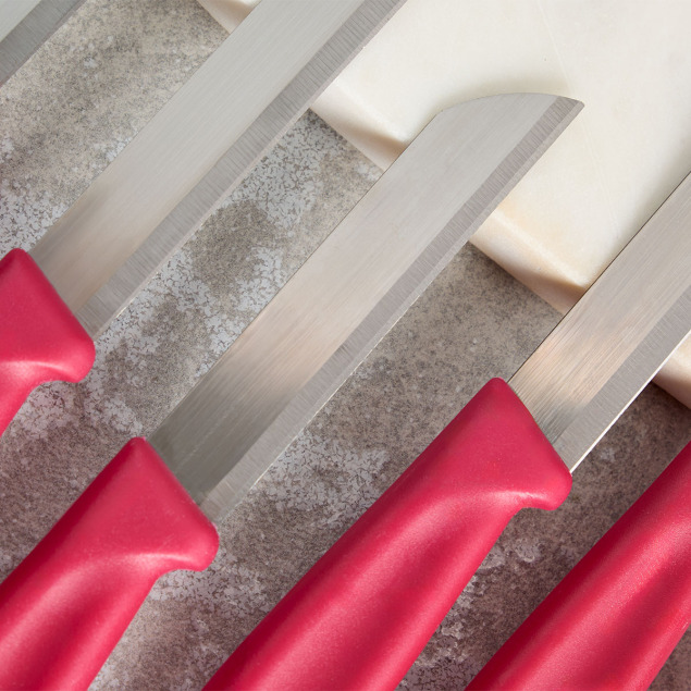 Aryıldız Mira 6 Parça Meyve Bıçak Seti Bordo - 3