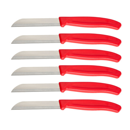 Aryıldız Mira 6 Parça Meyve Bıçak Seti Kırmızı - 4