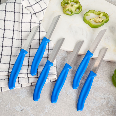 Aryıldız Mira 6 Parça Meyve Bıçak Seti Mavi - ARYILDIZ