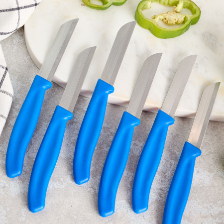 Aryıldız Mira 6 Parça Meyve Bıçak Seti Mavi - 2