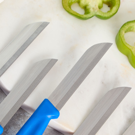 Aryıldız Mira 6 Parça Meyve Bıçak Seti Mavi - 3