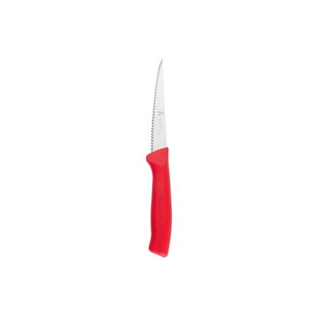 Aryıldız Rexa Tırtıklı Sebze Bıçak Kırmızı 10 cm - 7