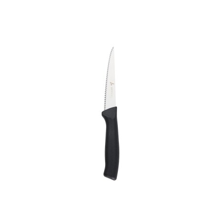 Aryıldız Rexa Tırtıklı Sebze Bıçak Siyah 10 cm - 7